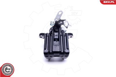 ESEN SKV 23SKV003 BLACK EAN: 5901947387993.