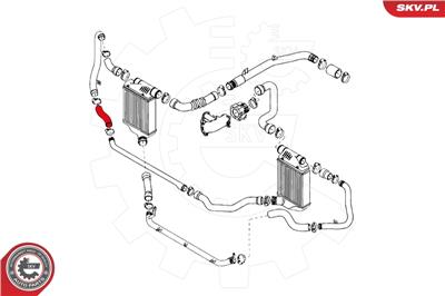 ESEN SKV 24SKV081 EAN: 5901947333976.