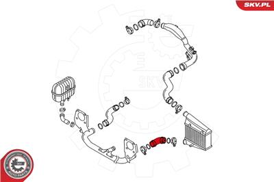 ESEN SKV 24SKV116 EAN: 5901947334324.