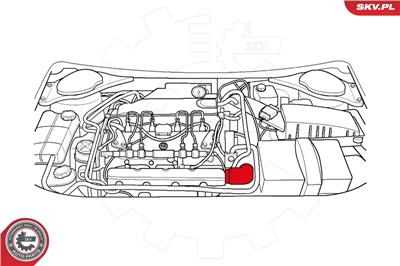 ESEN SKV 24SKV216 EAN: 5901947332986.