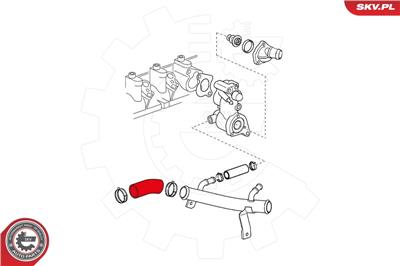 ESEN SKV 24SKV332 EAN: 5901947371497.