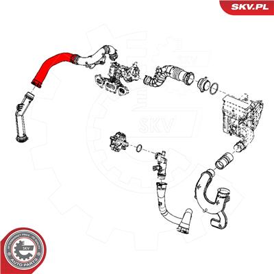 ESEN SKV 24SKV505 EAN: 5903968420314.