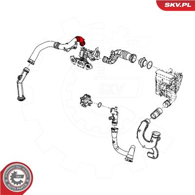 ESEN SKV 24SKV506 EAN: 5903968420321.