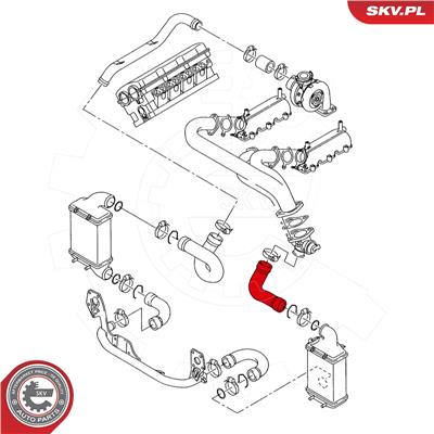 ESEN SKV 24SKV509 EAN: 5903968420352.
