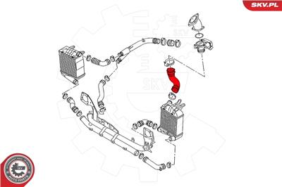 ESEN SKV 24SKV529 EAN: 5903968420550.