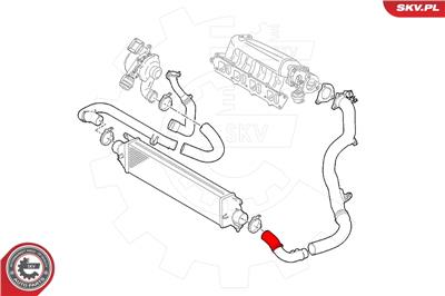 ESEN SKV 24SKV557 EAN: 5903968420833.