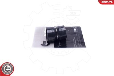 ESEN SKV 24SKV560 EAN: 5903968420864.