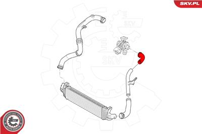 ESEN SKV 24SKV596 EAN: 5903968421229.