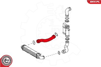 ESEN SKV 24SKV627 EAN: 5901947355466.