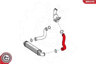 ESEN SKV 24SKV629 EAN: 5901947355480.