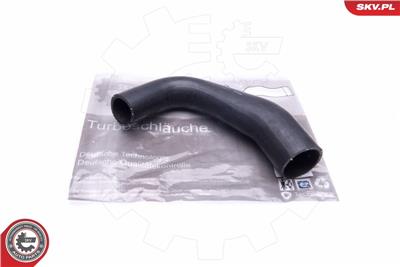 ESEN SKV 24SKV747 EAN: 5901947360156.