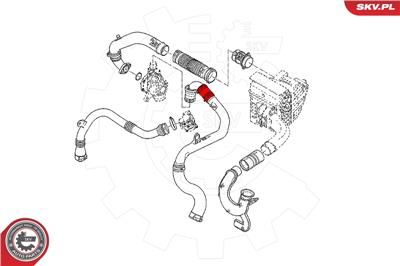 ESEN SKV 24SKV811 EAN: 5901947362518.