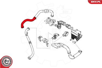 ESEN SKV 24SKV843 EAN: 5901947362839.