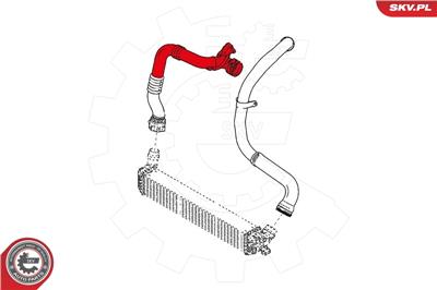 ESEN SKV 24SKV881 EAN: 5901947363218.