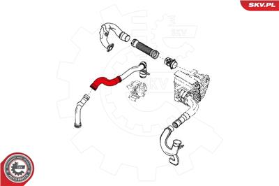 ESEN SKV 24SKV892 EAN: 5901947363324.