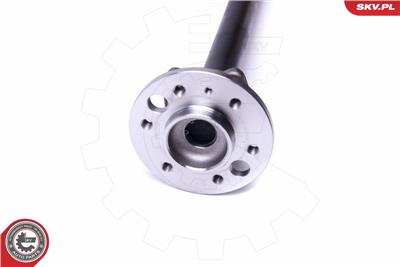 ESEN SKV 29SKV999 EAN: 5903968401498.