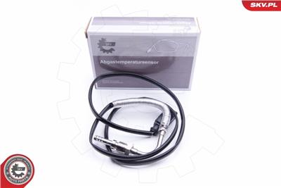 ESEN SKV 30SKV219 EAN: 5901947366066.