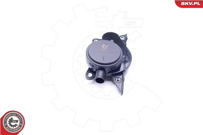 ESEN SKV 31SKV060 EAN: 5901947367261.