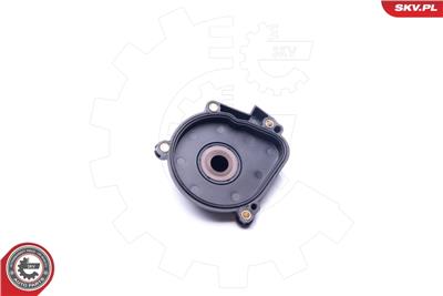 ESEN SKV 31SKV062 EAN: 5901947367285.