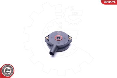 ESEN SKV 31SKV064 EAN: 5901947367308.