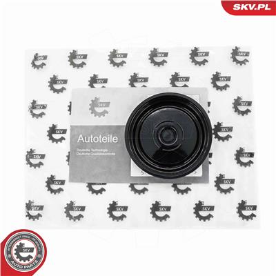 ESEN SKV 31SKV191 EAN: 5906302205745.