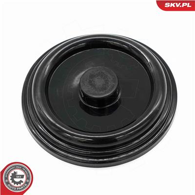 ESEN SKV 31SKV191 EAN: 5906302205745.