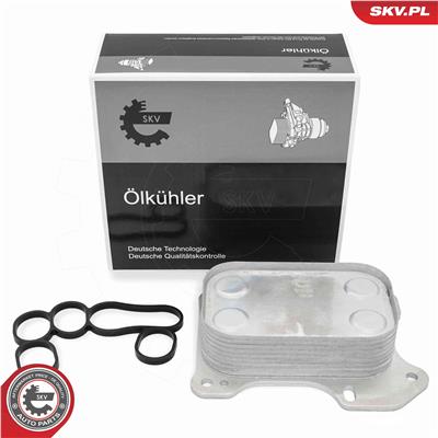 ESEN SKV 31SKV275 EAN: 5906302204359.