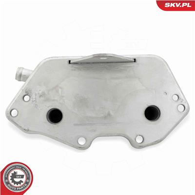 ESEN SKV 31SKV286 EAN: 5906302204465.