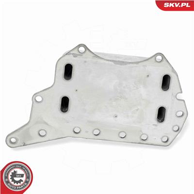 ESEN SKV 31SKV306 EAN: 5906302204663.