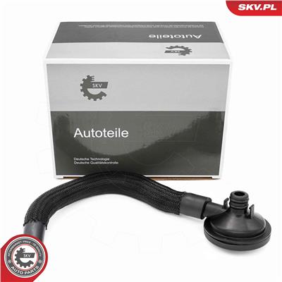 ESEN SKV 31SKV420 EAN: 5906302208067.