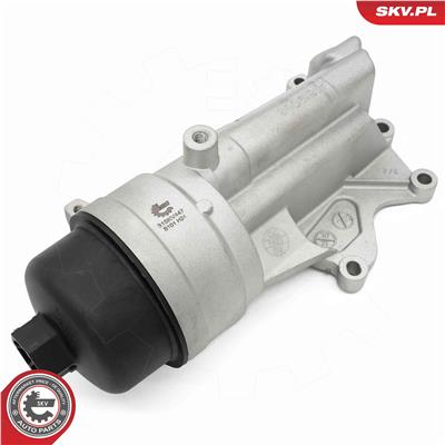 ESEN SKV 31SKV447 EAN: 5906302222070.