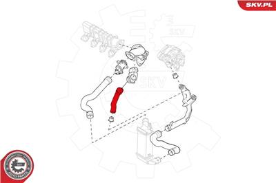 ESEN SKV 43SKV002 EAN: 5901947371947.