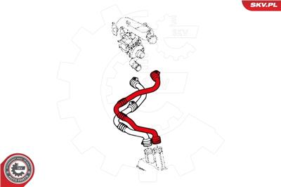 ESEN SKV 43SKV060 EAN: 5901947372470.