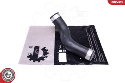 ESEN SKV 43SKV419 EAN: 7908247368873.