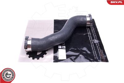 ESEN SKV 43SKV420 EAN: 5901947370438.