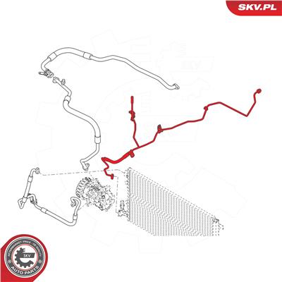 ESEN SKV 43SKV526 EAN: 5901947387801.