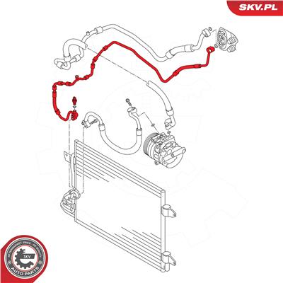 ESEN SKV 43SKV555 EAN: 5903968489458.