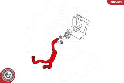 ESEN SKV 43SKV822 EAN: 5901947370445.