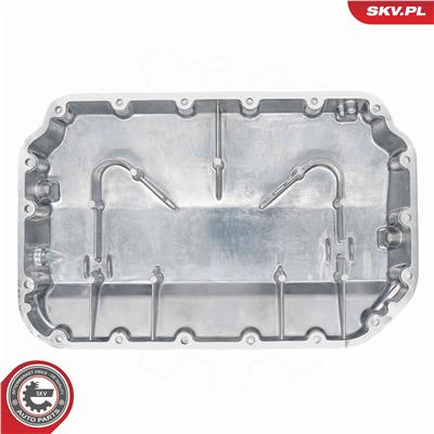 ESEN SKV 48SKV880 EAN: 5906302210428.