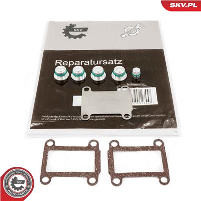 ESEN SKV 49SKV525 EAN: 5901947317785.