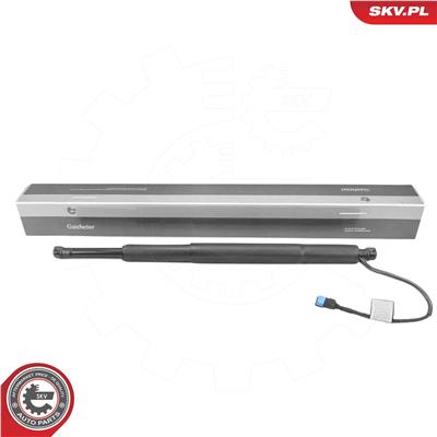 ESEN SKV 52SKV839 EAN: 5906302237623.