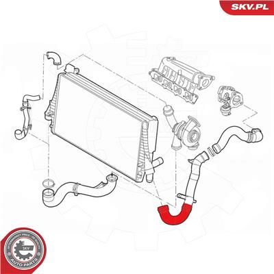 ESEN SKV 54SKV016 EAN: 5903968421526.