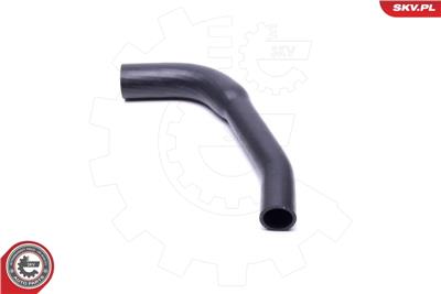 ESEN SKV 54SKV217 EAN: 5903968444310.