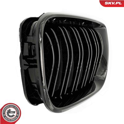 ESEN SKV 66SKV081 EAN: 5903968482404.