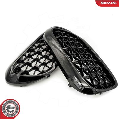 ESEN SKV 66SKV200 EAN: 5903968483593.