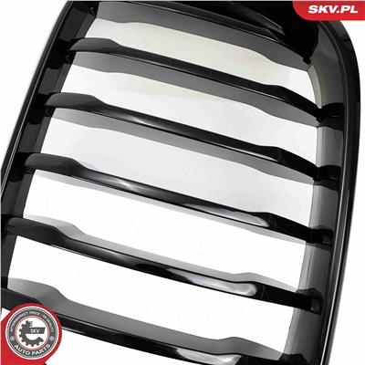 ESEN SKV 66SKV260 EAN: 5903968484194.