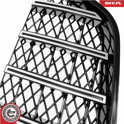 ESEN SKV 66SKV543 EAN: 5906302214792.