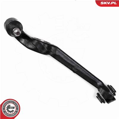 ESEN SKV 69SKV256 EAN: 5903968498061.