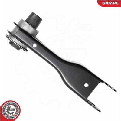 ESEN SKV 69SKV490 EAN: 5906302225217.