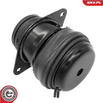 ESEN SKV 75SKV241 EAN: 5906302243631.